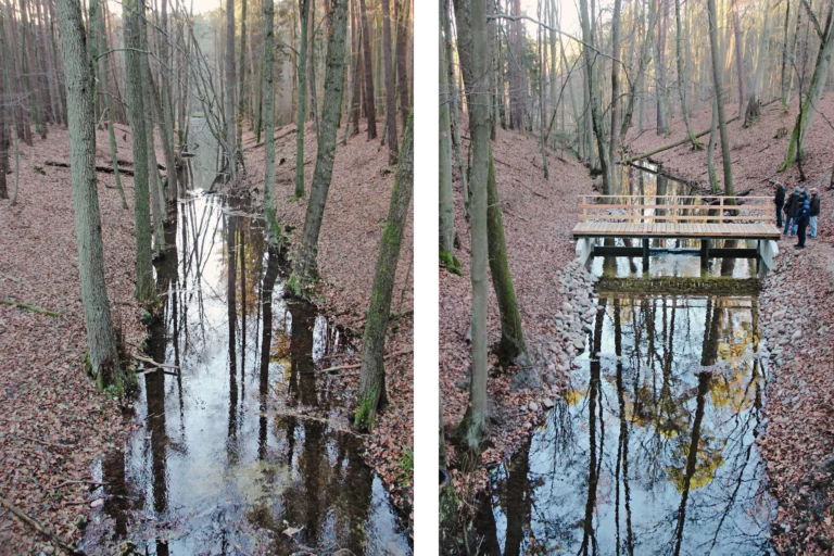 Wiedervernässung im Bereich des Dagowsees